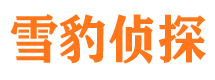 阳西外遇调查取证